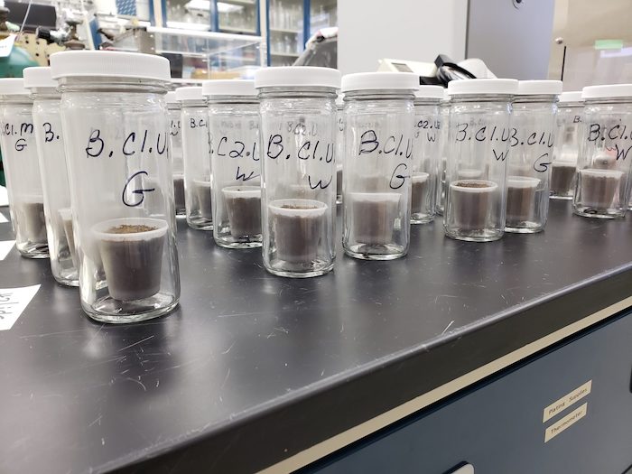 Researchers at the USDA-ARS North Central Agricultural Research Laboratory in Brookings, SD, use these airtight jars to measure respiration from living organisms in the soil. USDA-ARS photo.