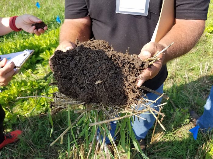 Healthy soil structure is critical for sustainable agricultural production. That structure is formed of small soil aggregates held together by substances secreted by soil biology. The spaces between these aggregates allow air and water to infiltrate the soil. SD Soil Health Coalition photo.
