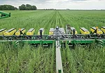 Planting-Green_seeding.jpg