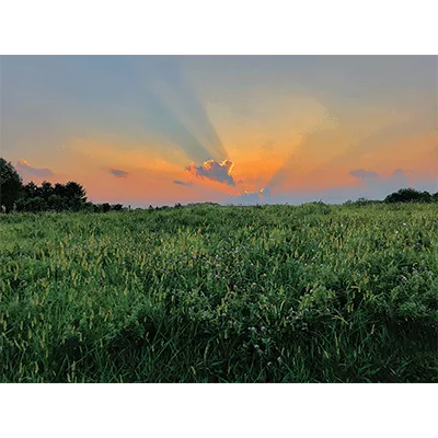 SaddleButte-400px.png