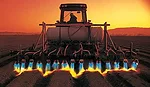 flaming cover crop for termination
