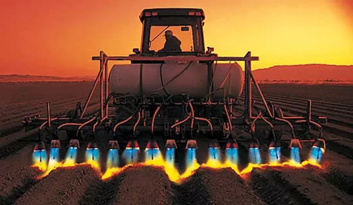 flaming cover crop for termination