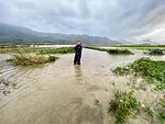 Travis Forstbauer Cover Crop Flooding
