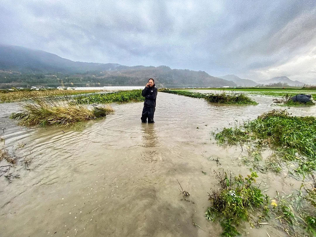 Travis Forstbauer Cover Crop Flooding