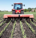 EARLY-INTERSEEDING-For-corn-no-tilled-after-soybeans.jpg