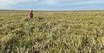 Holt-Ranch-1.jpg