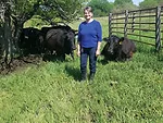 Lucinda-Stuenkel-with-cows.jpg