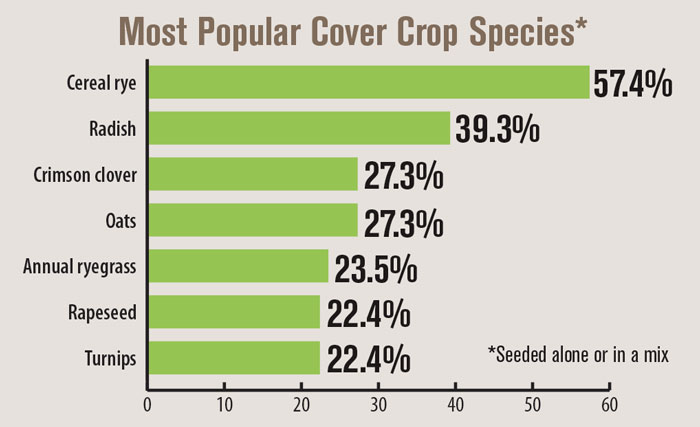 Most-Popular-Cover-Crop-Species-700.jpg