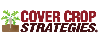Cover-Crop-Strategies