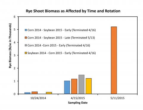 Rye biomass