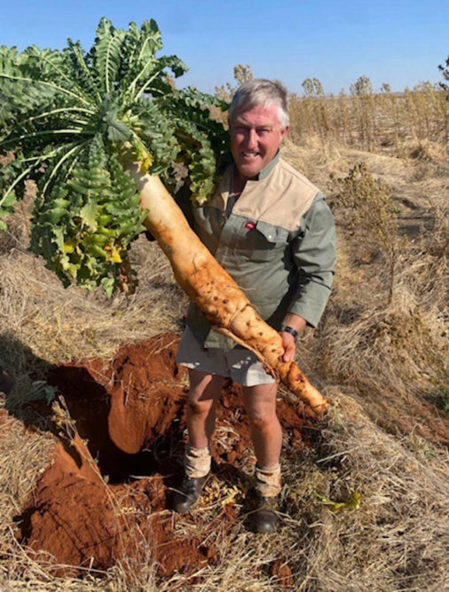 Jannie Keet holding a giant radish that is the size of his body