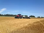 Nelson-1.jpg