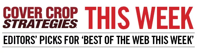 Best of the Web This Week