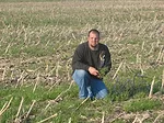 Annual Ryegrass