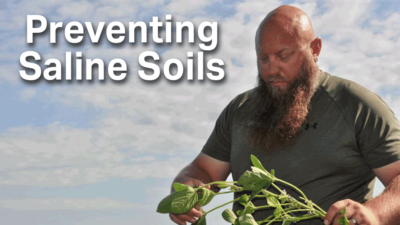 Preventing Saline Soils