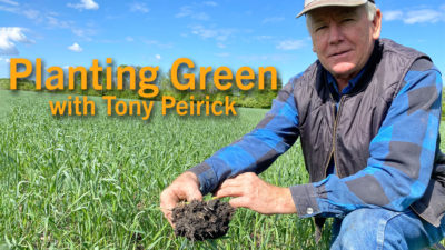Planting Green with Tony Peirick