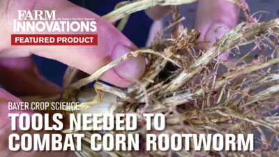 Bayer Crop Science Provides the Tools Needed to Combat Corn Rootworm